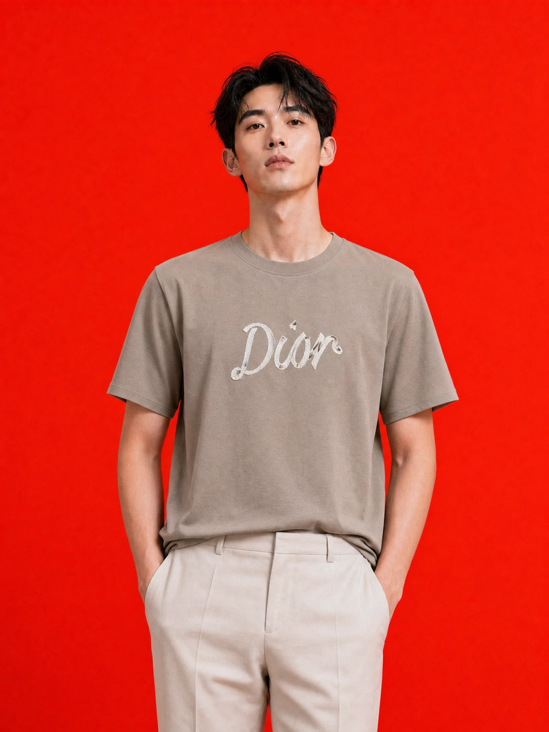 Dior Embroidered Script Logo T-Shirt – Taupe Beige