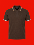 BOSS Signature Tipped Polo Shirt – Brown